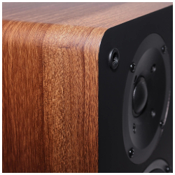 Полочная акустика Radiotehnika S-20N Walnut