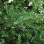 Ель искусственная EveXmas амазонка 210 см
