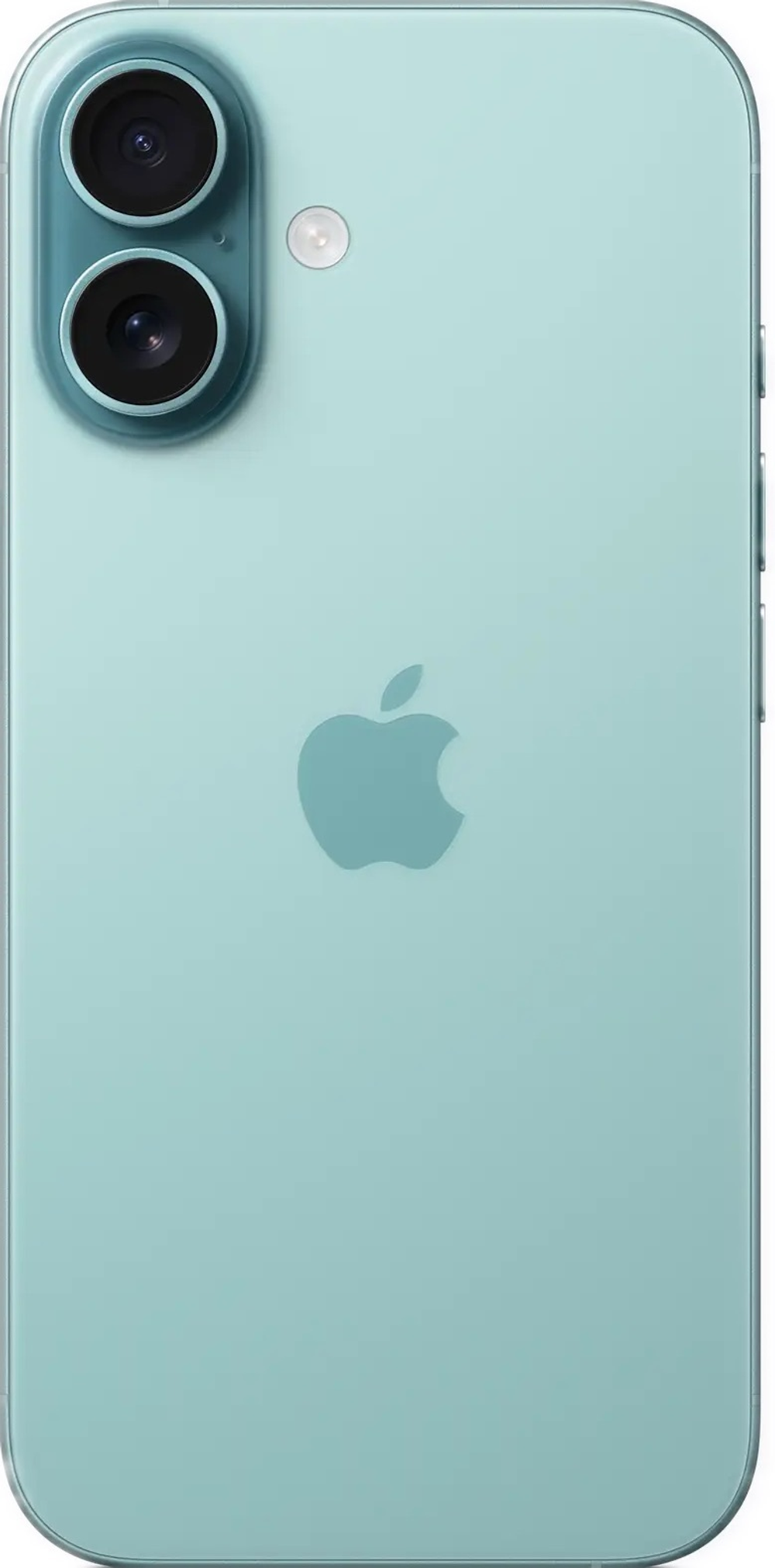 iPhone 16 Plus