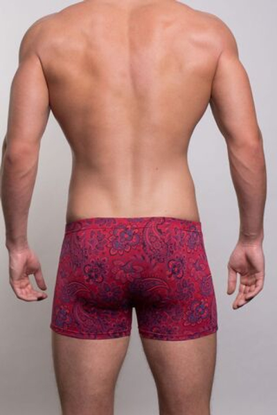 Мужские трусы-боксеры с фантазийным узором (Размер: XXXL) (Цвет: красный)
