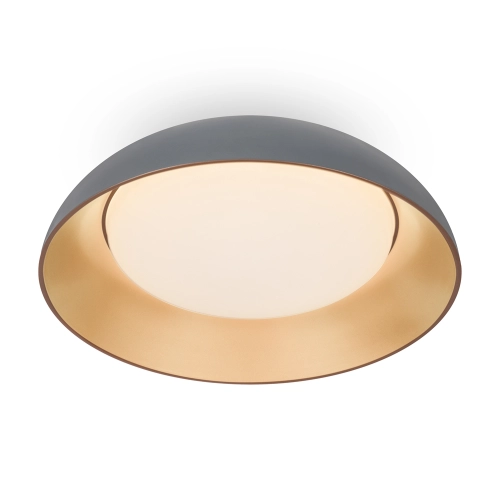 Потолочный светодиодный светильник Freya Moonlight FR5277CL-L72GR