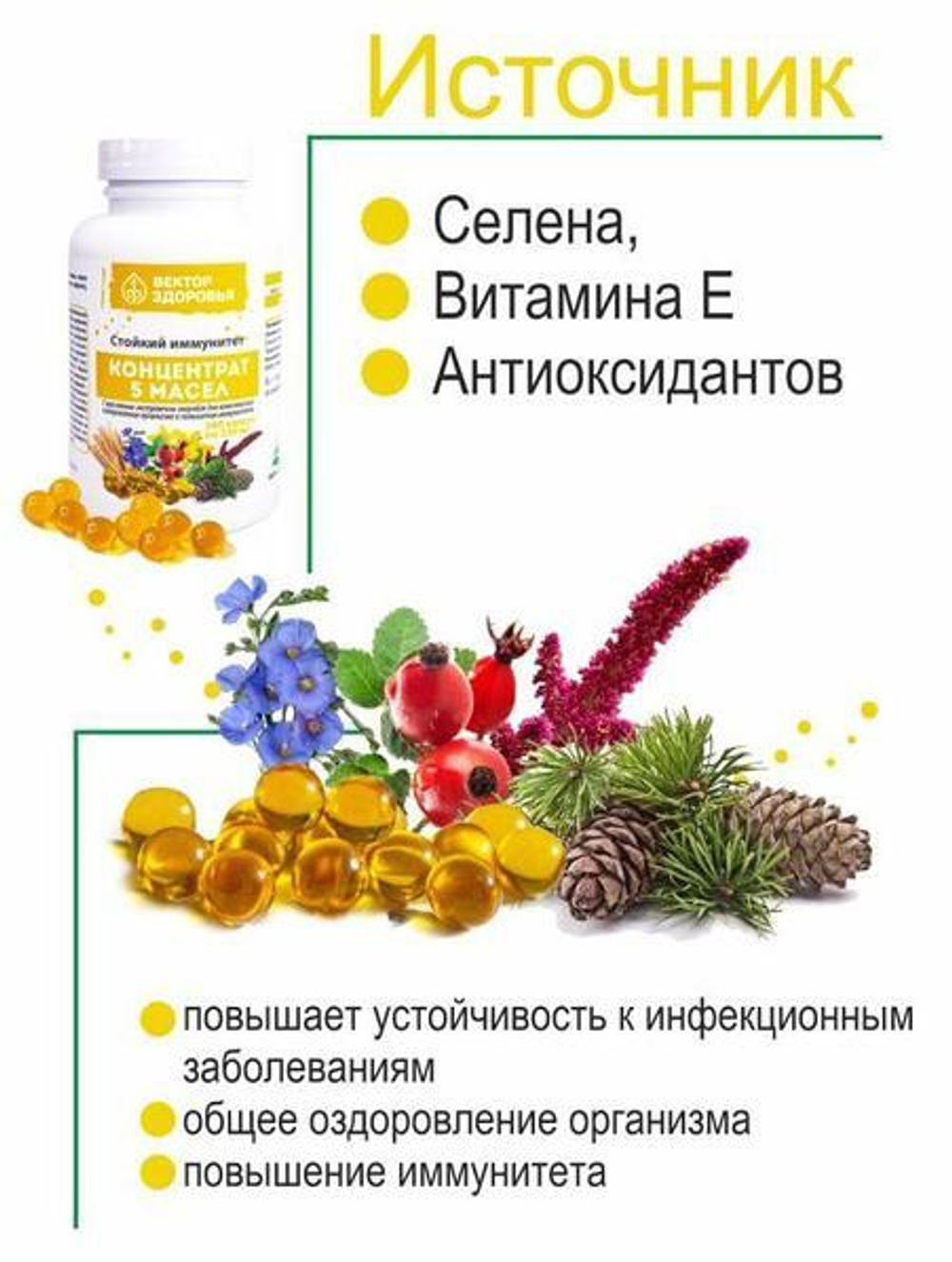 КОНЦЕНТРАТ 5 МАСЕЛ.Стойкий иммунитет 360 капсул