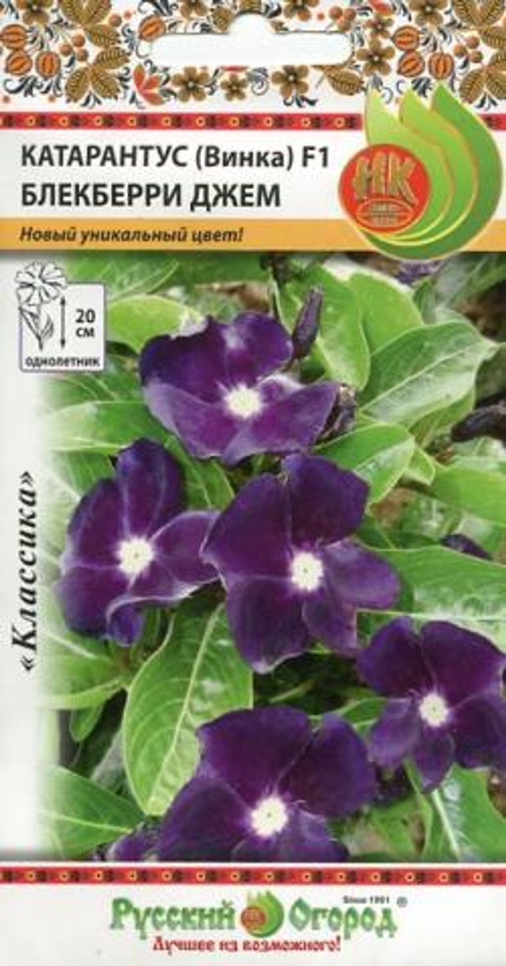 Катарантус (винка) Блэкберри Джем 5шт НК