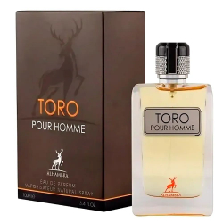 Toro Pour Homme 100мл/Гермес ОАЭ