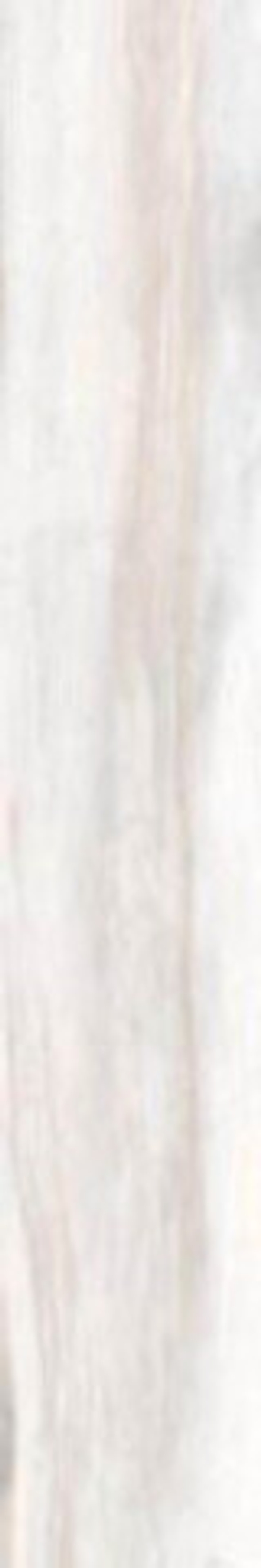 Керамогранит LIVING BIANCO (J86347)