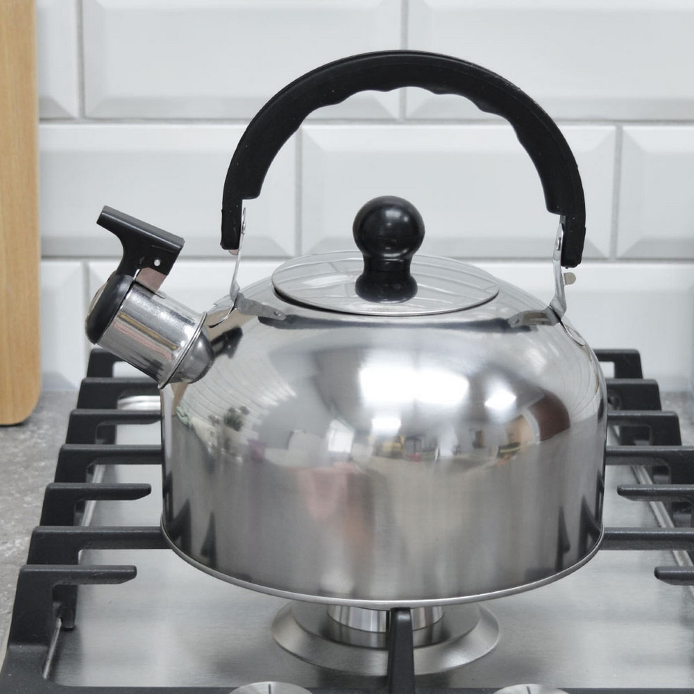 Чайник со свистком APPETITE LKD-1020Bingo нерж 2,0л