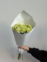 Охапка диантусов в зеленом оттенке 10 шт