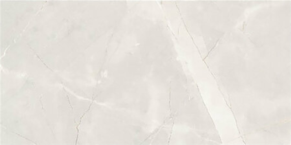 Armani silver 60*120