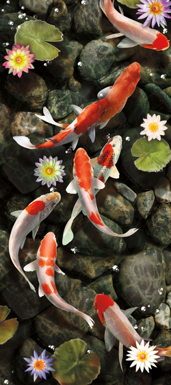 Коллекция Подводный мир