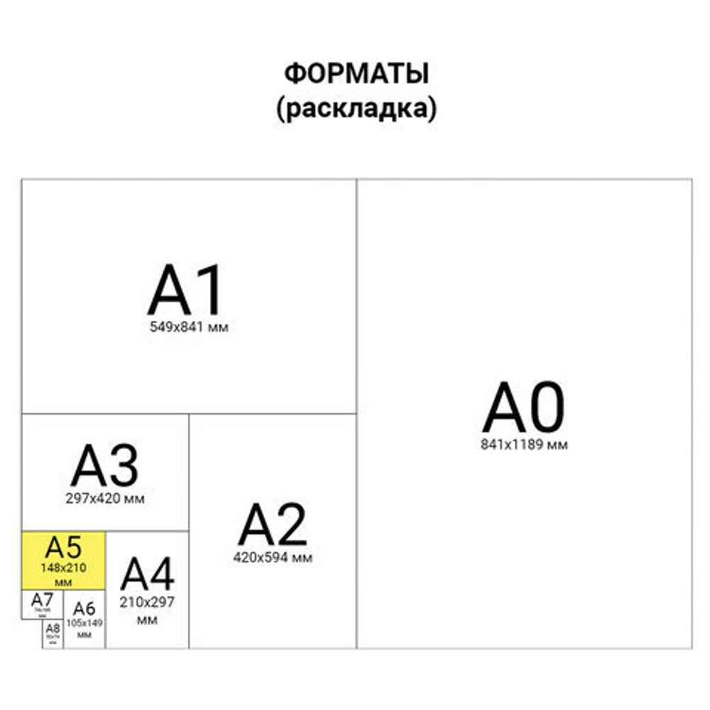 Бумага офисная МАЛОГО ФОРМАТА (148х210), А5, 80 г/м2, 500 л., марка С, STAFF "Profit", 149% (CIE), 110446