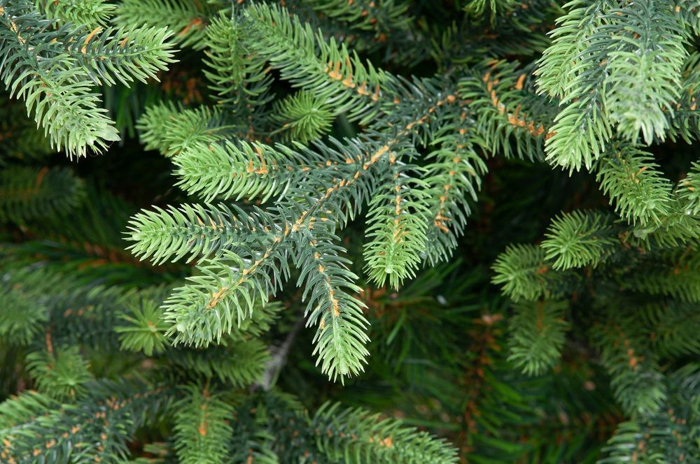 Ель искусственная «Венецианская» (Литая+пвх) 270 см / 2.7 м