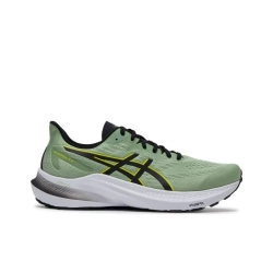 Мужские кроссовки ASICS GT-2000 12 'Dark Jade Black' 1011B691-301