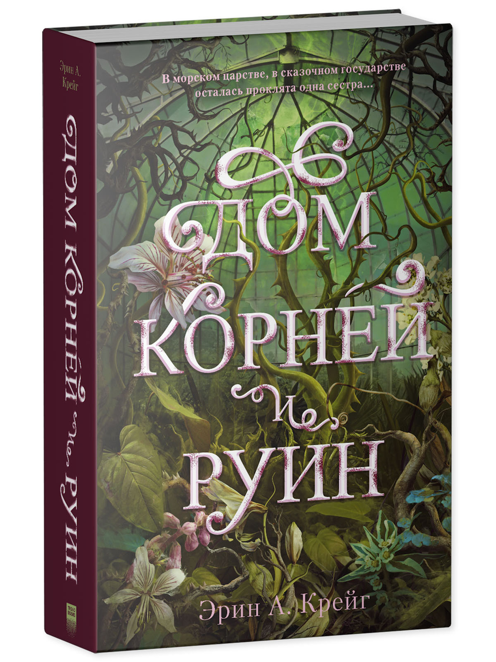 Комплект книг "Дом соли и печали", "Дом корней и руин"
