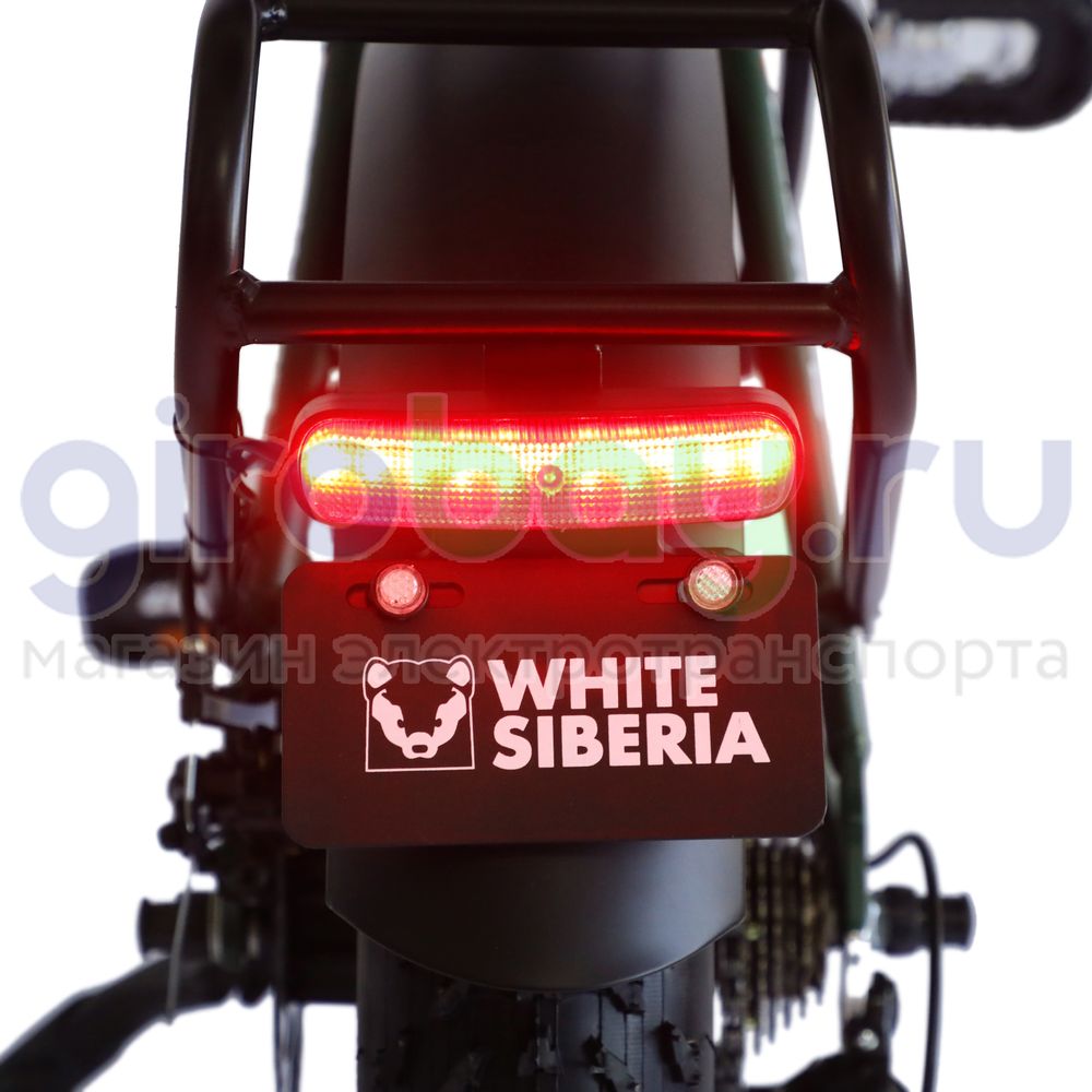 Электровелосипед WHITE SIBERIA SLAV PRO 1000W 48V/13A Elki Green (зеленый) фото  14 фото №16