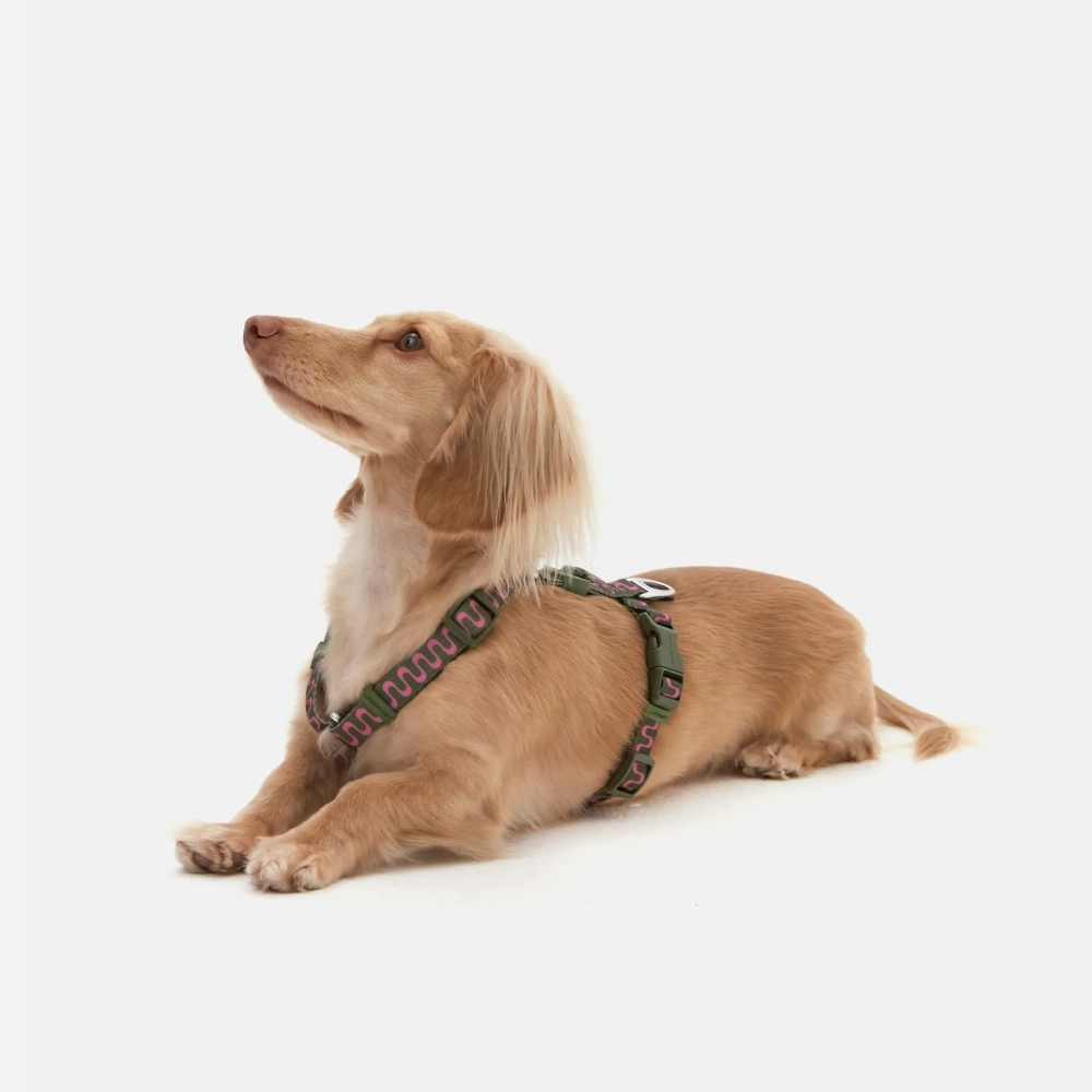 Анатомическая шлейка Jungle