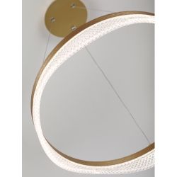 Светильник потолочный светодиодный Rivoli Dana 6189-201 LED 3000 - 6300К 56 Вт с пультом | Интерьерные светодиодные светильники