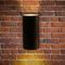 Уличный настенный светодиодный светильник Arte Lamp Alcyone A6109AL-2BK