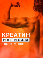 Креатин моногидрат 300 гр Not Just