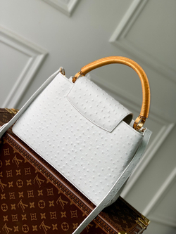 Louis Vuitton Capucines MM