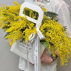 «Мимозье» композиция из мимозы
