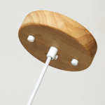 Подвесной светильник Favourite Pendenti 2014-1P