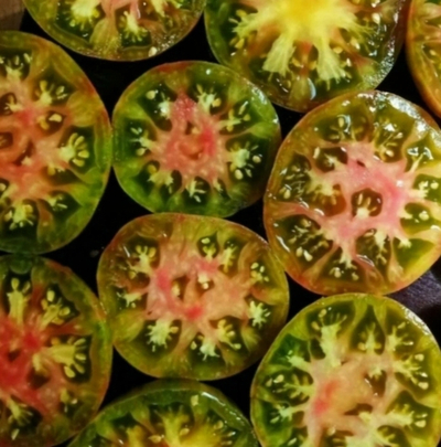 ЗЕЛЕНЫЙ КУАПО