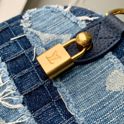 Louis Vuitton Speedy 25