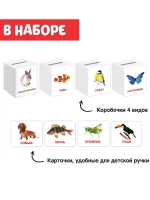 Сортер-копилка Животные по методике Г. Домана