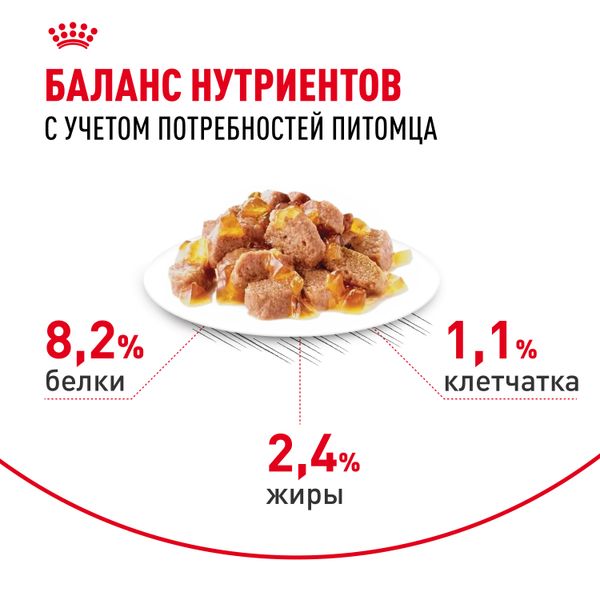 Пауч Royal Canin Appetite Control Care для взрослых кошек — для контроля выпрашивания корма, мелкие кусочки в желе