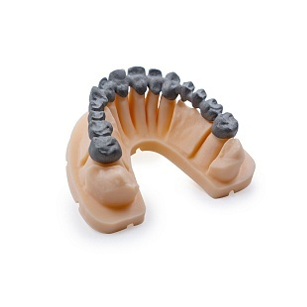 Dental Cast Cherry
