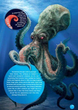 The Octopus. Reader. Книга для чтения