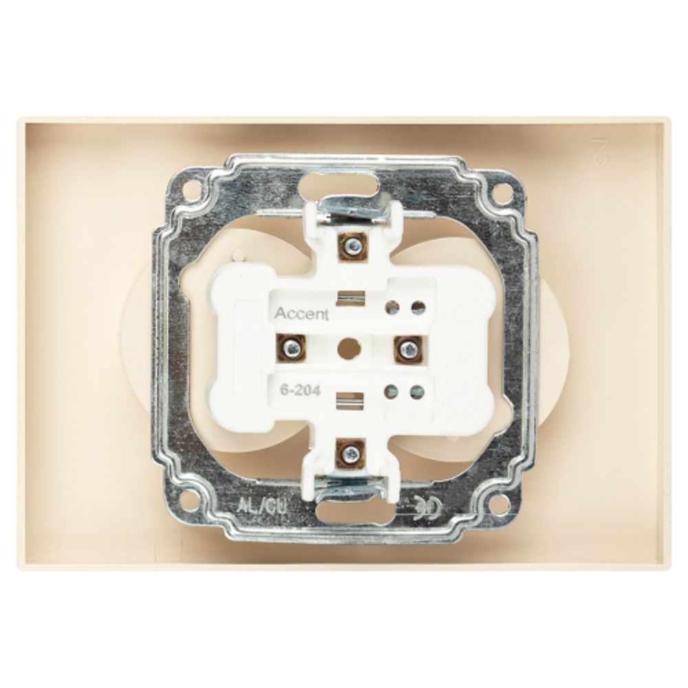 Розетка Intro Accent 6-204-02 двойная 2х2P 16А-250В IP20 СУ AL/CU слоновая кость | Intro