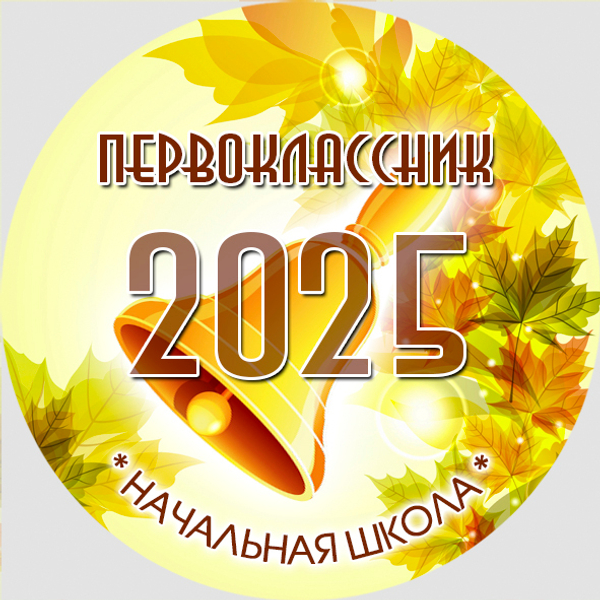 Центр-вставка для замены V10