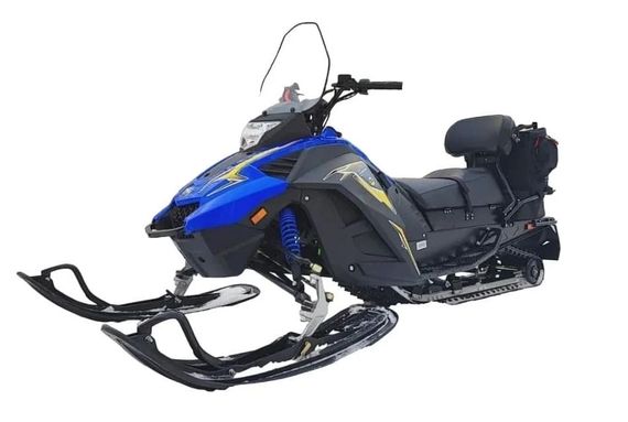 Снегоход WOIDEAL WD 300