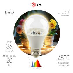 Фитолампа для растений светодиодная ЭРА FITO-20W-Ra90-E27 полного спектра 20 Вт Е27 | Фитолампы Е27