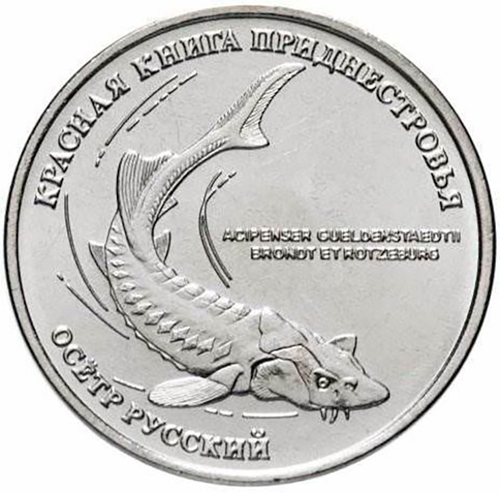 1 рубль 2018 г. Осетр Русский. Серия: Красная книга "ФАУНА" Приднестровье. ПМР. UNC