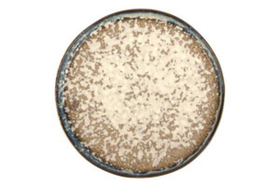 Тарелка d 21,5 см h 1 см BEGONA COLLECTION