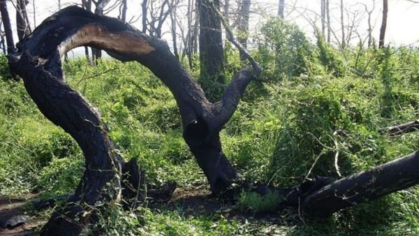 Там, где реальность уходит под землю: загадки Медведицкой гряды