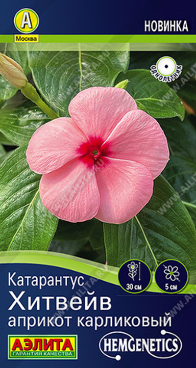 Катарантус Хитвейв априкот карликовый 5 шт (Аэлита)