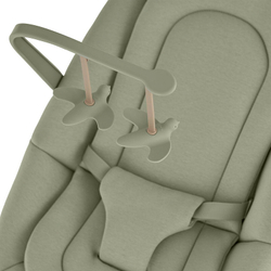 Стул-трансформер для кормления Anex Ozy june