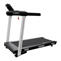 Беговая дорожка SportFlag Сloud-Run