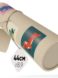 Бокс для коллекционирования