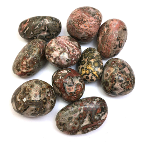 Яшма леопардовая, галтовка 15-25 мм