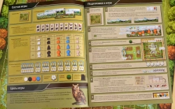 Настольная игра "Расцвет"
