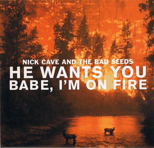 Nick Cave & The Bad Seeds - He Wants You / Babe, I'm On Fire - 10'' Single