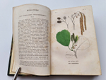 "Ботанические беседы". Б.Ауэрсвальд, Э.А.Россмесслер. 1860г.