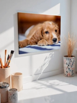 Картина на стену 40 X 50 Собака