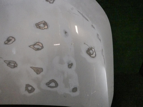 Капот Toyota RAV4 5 XA50 (2018-н.в.)