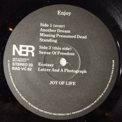 Винтажная виниловая пластинка LP Joy Of Life Enjoy (UK 1985) Mini-Album