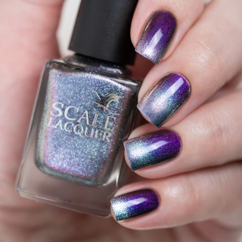 Chianti At Enzo’s (LE)